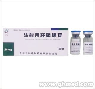 注射用環(huán)磷腺苷  