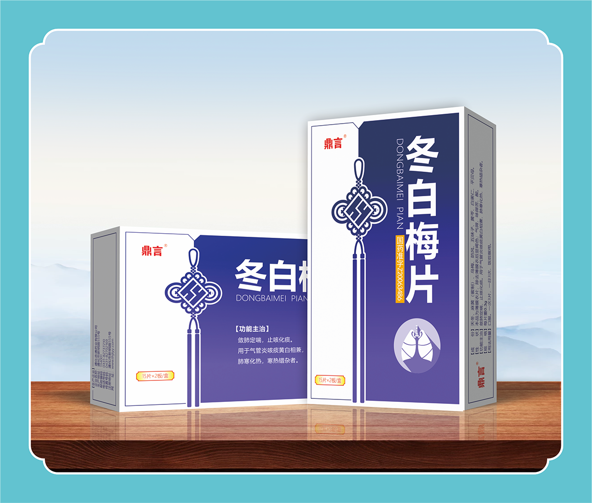 冬白梅片